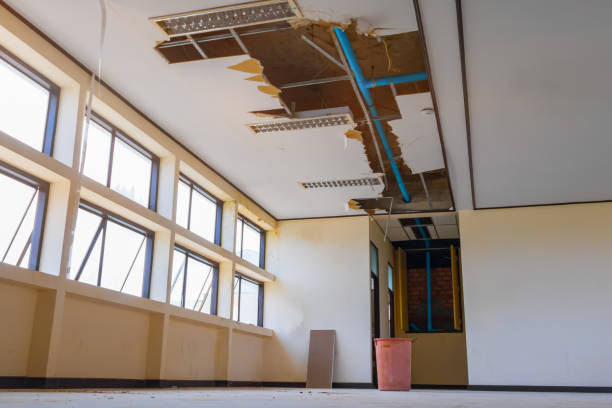 Best Basement water damage restoration  in Highland Heights, KY