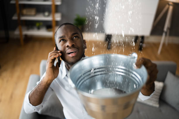 Best Ceiling water damage repair  in Highland Heights, KY