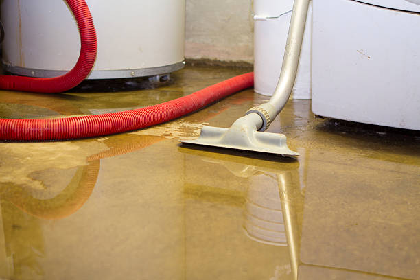 Best 24-hour water damage restoration  in Highland Heights, KY